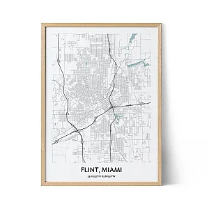 Flint city map poster