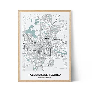 Tallahassee city map poster