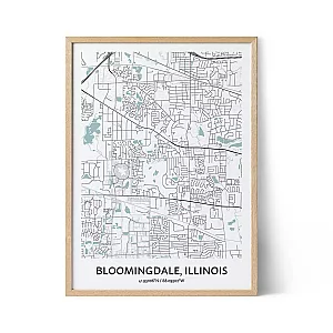 Bloomingdale city map poster