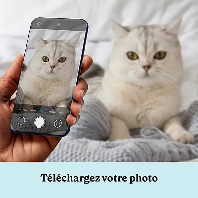 Portrait Royal de Chat