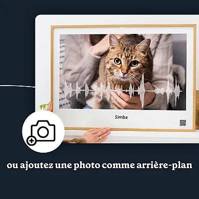 FR_03_Affiche onde sonore miaulement de chat