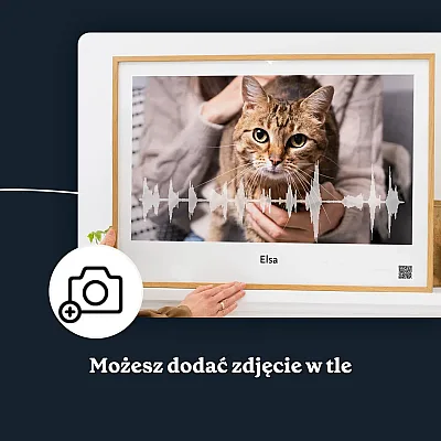 PL_03_Kot – Plakat z falą dźwiękową