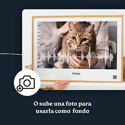 ES_03_Arte con la onda de sonido del maullido de tu gato