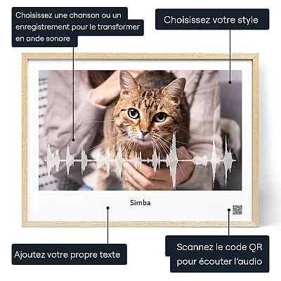 FR_01_Affiche onde sonore miaulement de chat