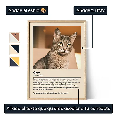 ES_01_Póster de definición de gato