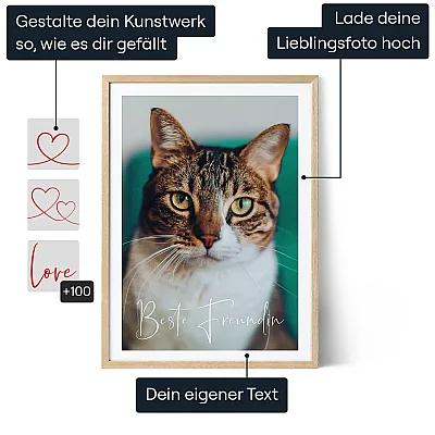 DE_01_Katzen-Foto-Wandkunst
