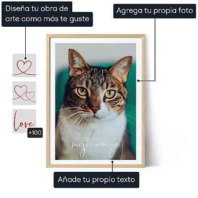 ES_01_Arte fotográfico de gato
