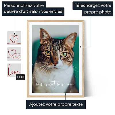 FR_01_Collage photo de chat