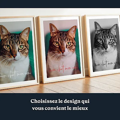 FR_02_Collage photo de chat