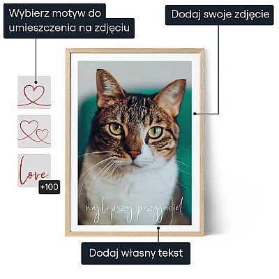 PL_01_Kot – Fotoobraz ze zdjęcia