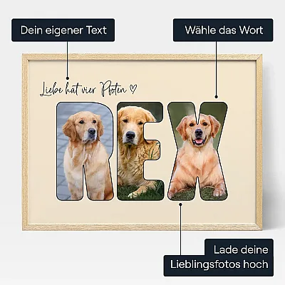 DE_01_Hunde-Fotocollage in Buchstaben-Form