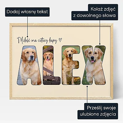 PL_01_Pies – Kolaż ze Zdjęć w Formie Napisu