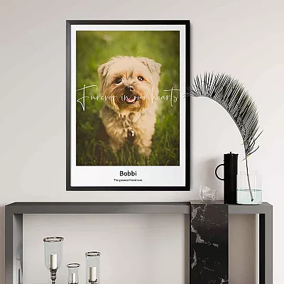 loss of a dog photo