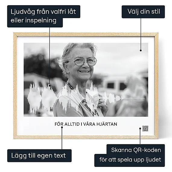 Minnesrostinspelning Ljudvagskonst — personlig ljudvåg poster