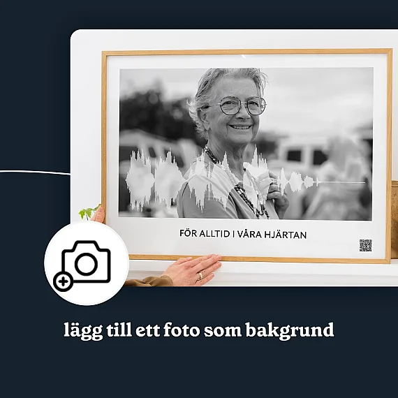 SE_03_Minnesröstinspelning ljudvågskonst