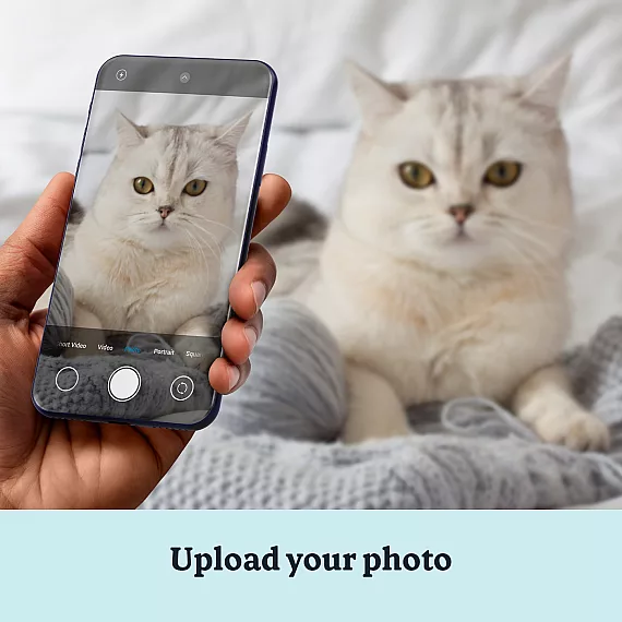 EN_03_Custom Cat Portrait