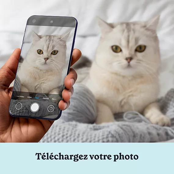 FR_03_Portrait Personnalisé de Chat