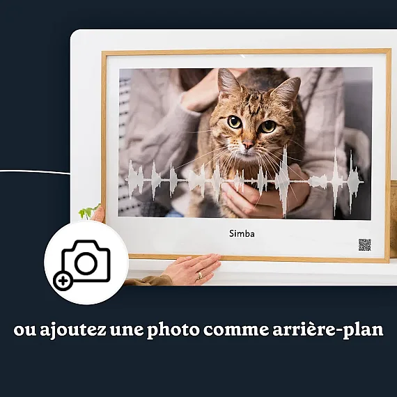 FR_03_Affiche onde sonore miaulement de chat