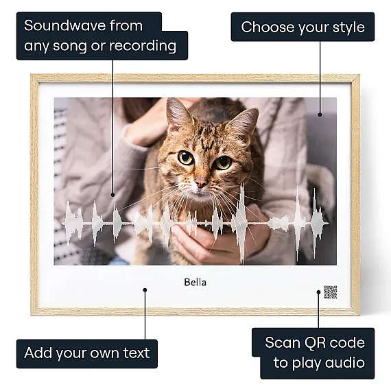 EN_01_Cat Meow Soundwave Art