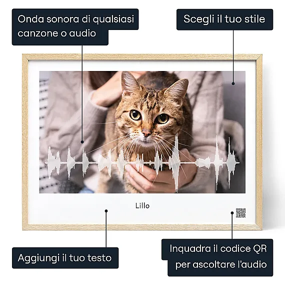 IT_01_Onda sonora del miagolio del Gatto