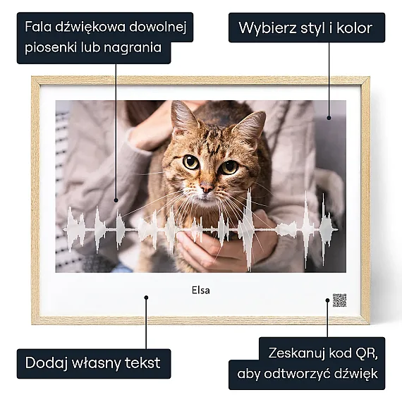 PL_01_Kot – Plakat z falą dźwiękową