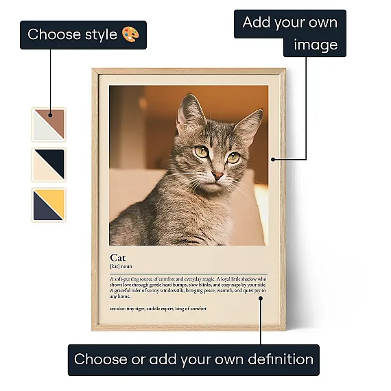 EN_01_Cat Definition Poster