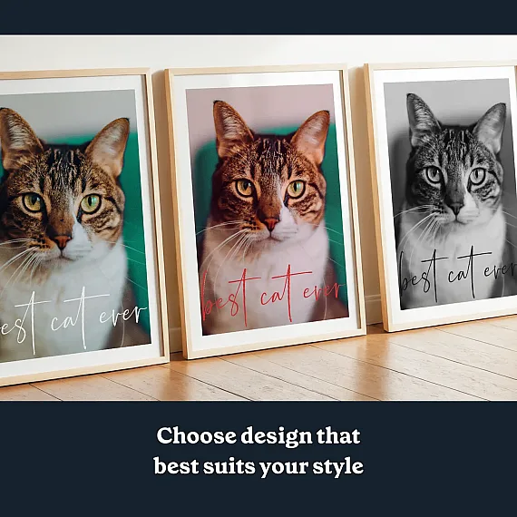 EN_02_Cat Photo Wall Art