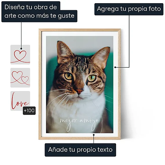 ES_01_Arte fotográfico de gato