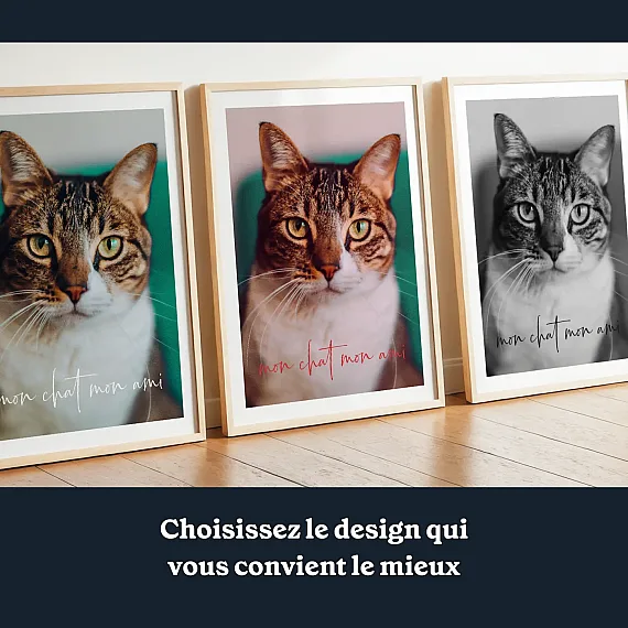 FR_02_Collage photo de chat