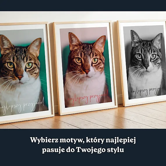 PL_02_Kot – Fotoobraz ze zdjęcia