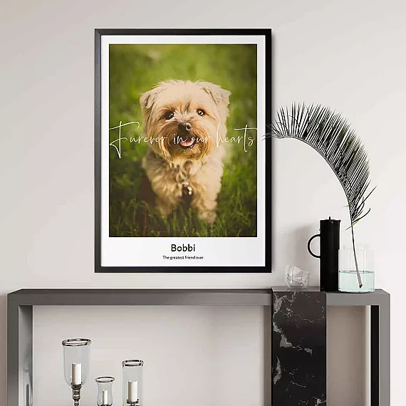 loss of a dog photo