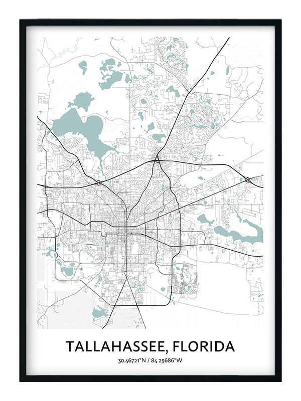 Tallahassee Map Poster - Your City Map Art - Positive Prints