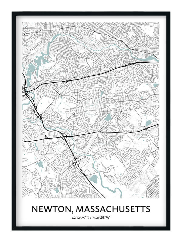 Newton poster