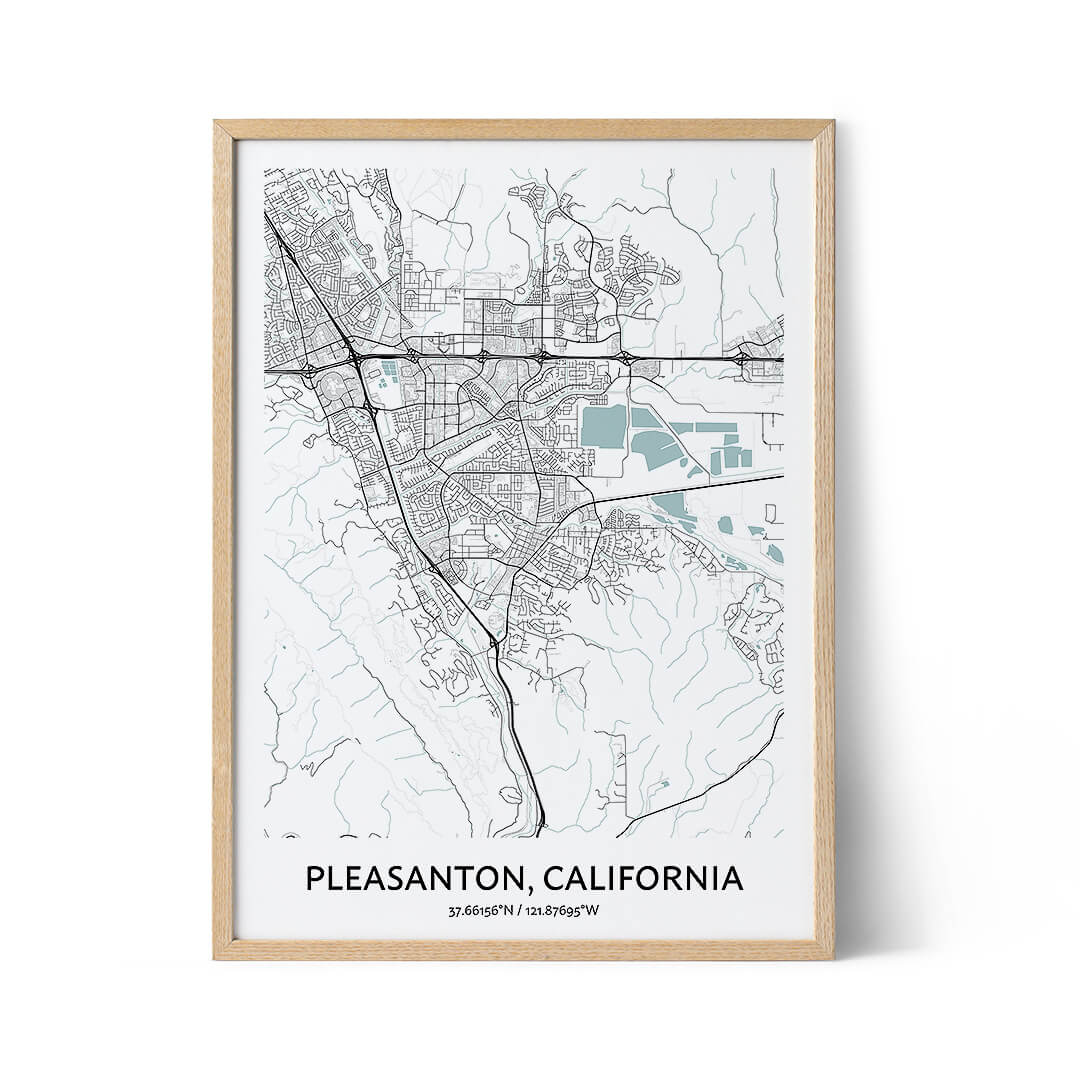 Pleasanton city map poster