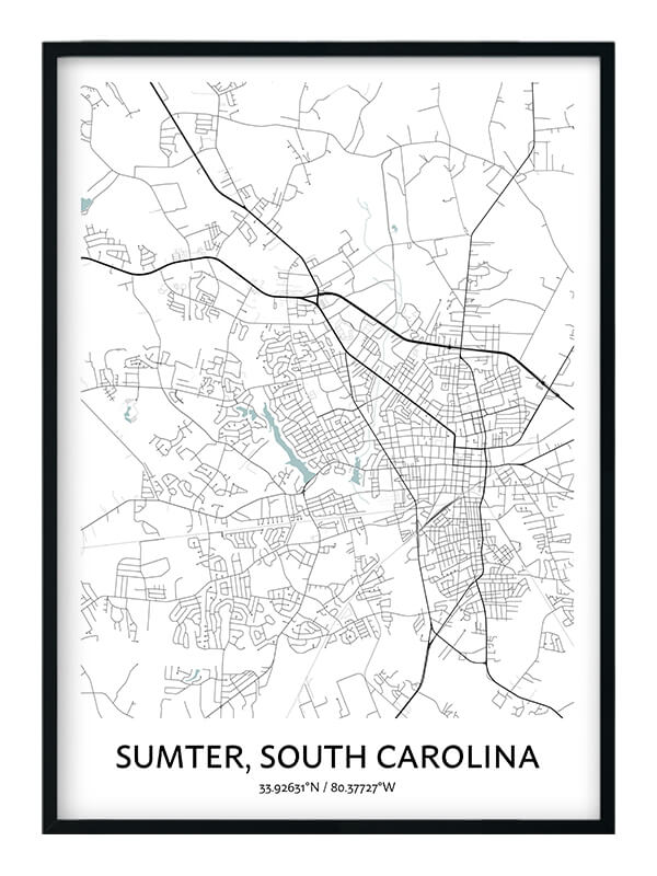 Sumter Map Poster Your City Map Art Positive Prints