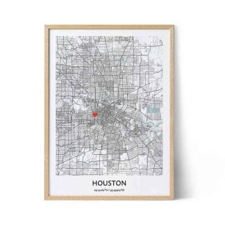 houston poster