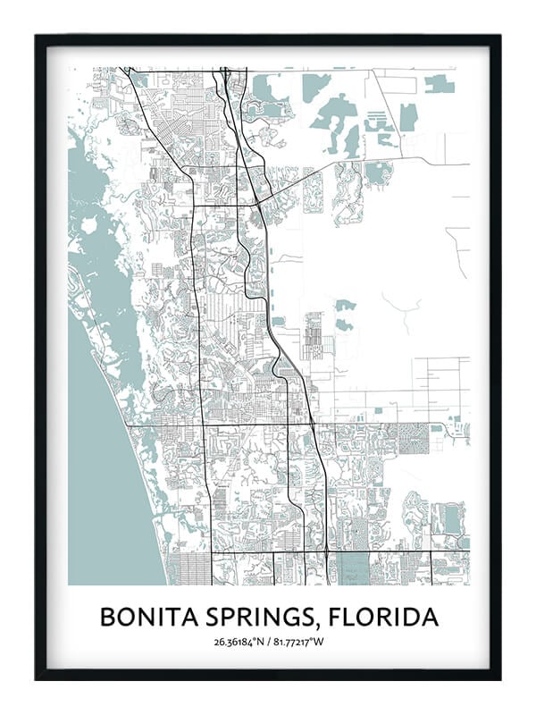 Bonita Springs poster