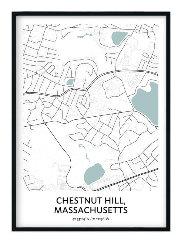 Chestnut Hill poster