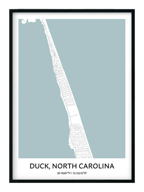Duck poster