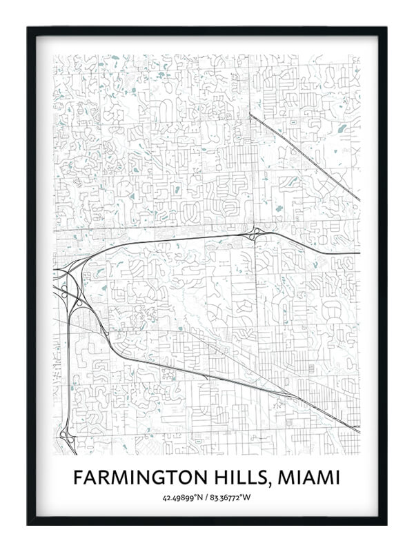 Farmington Hills poster