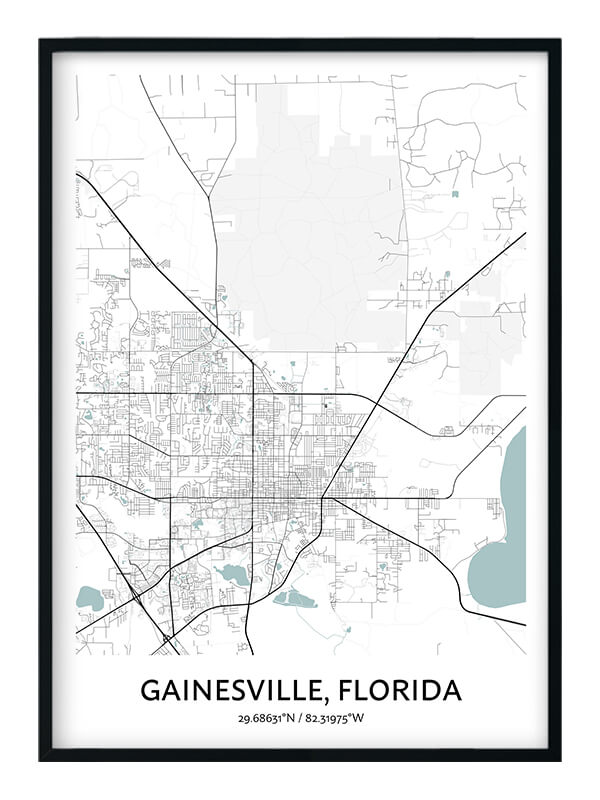 Gainesville poster