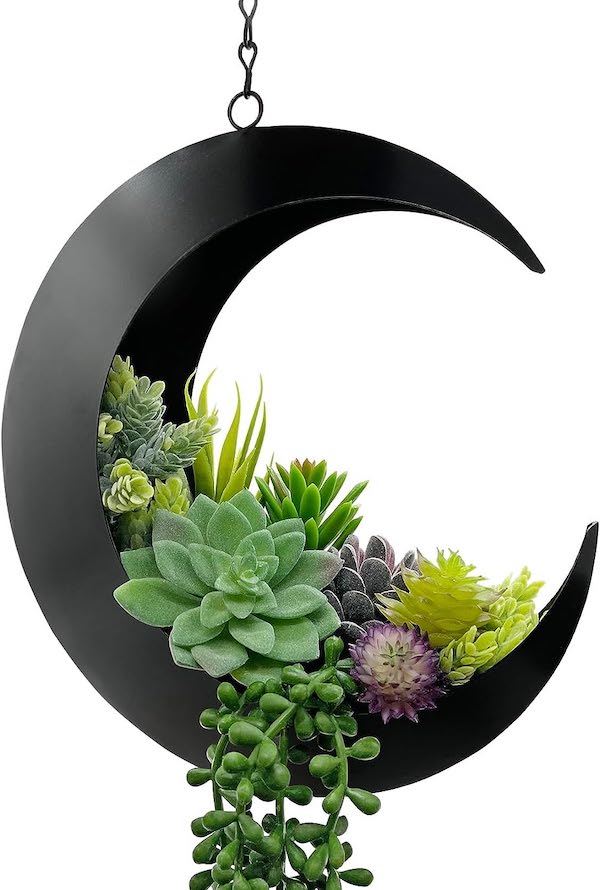 moon planter