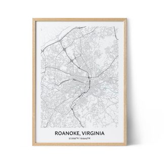 Roanoke city map poster