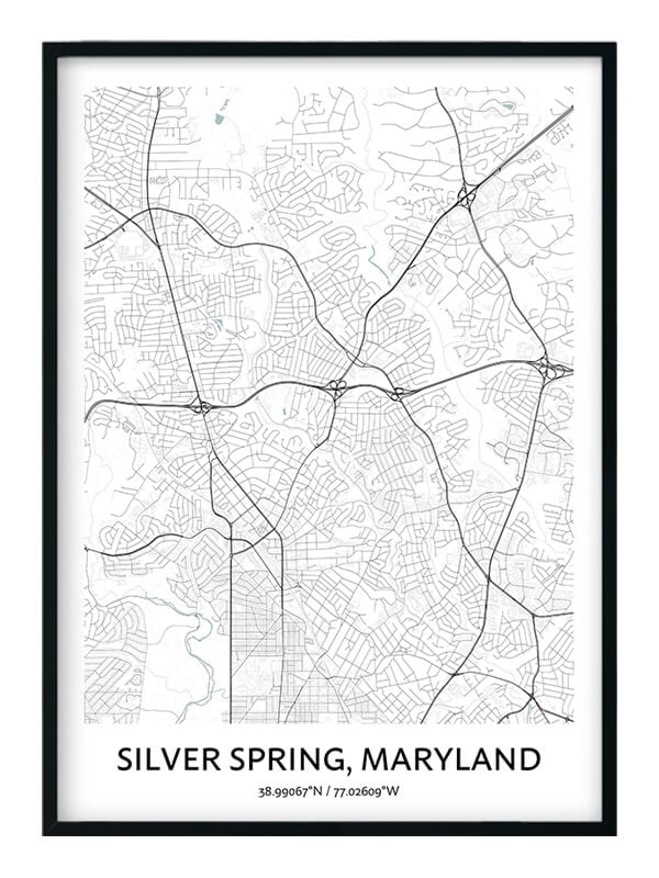 Silver Spring poster
