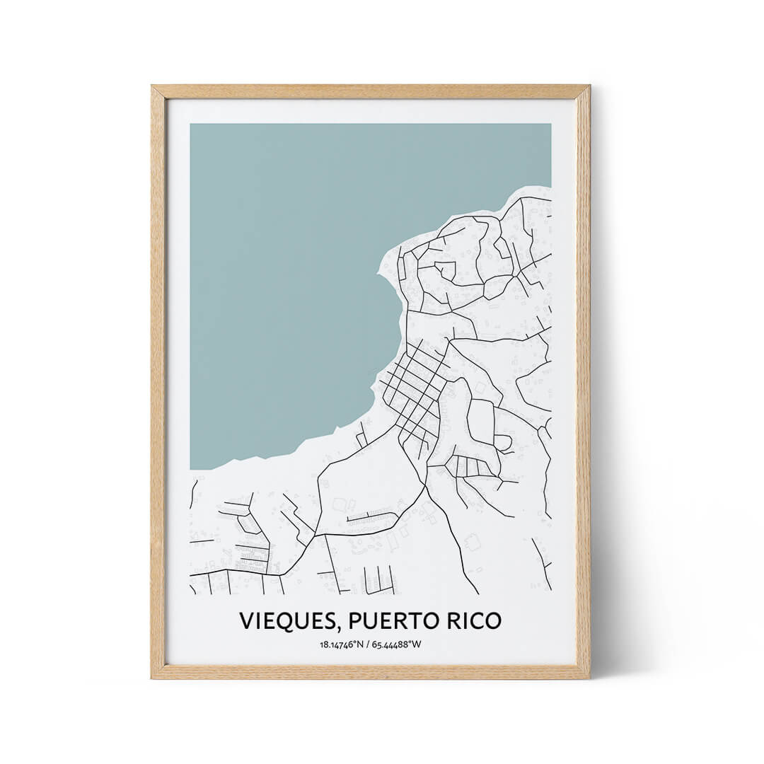 Vieques city map poster