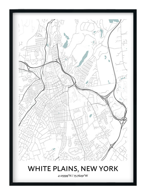 White Plains poster