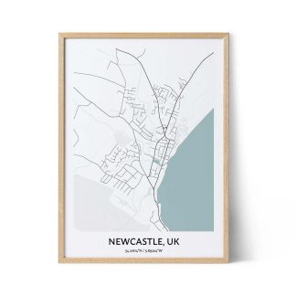 Newcastle city map poster