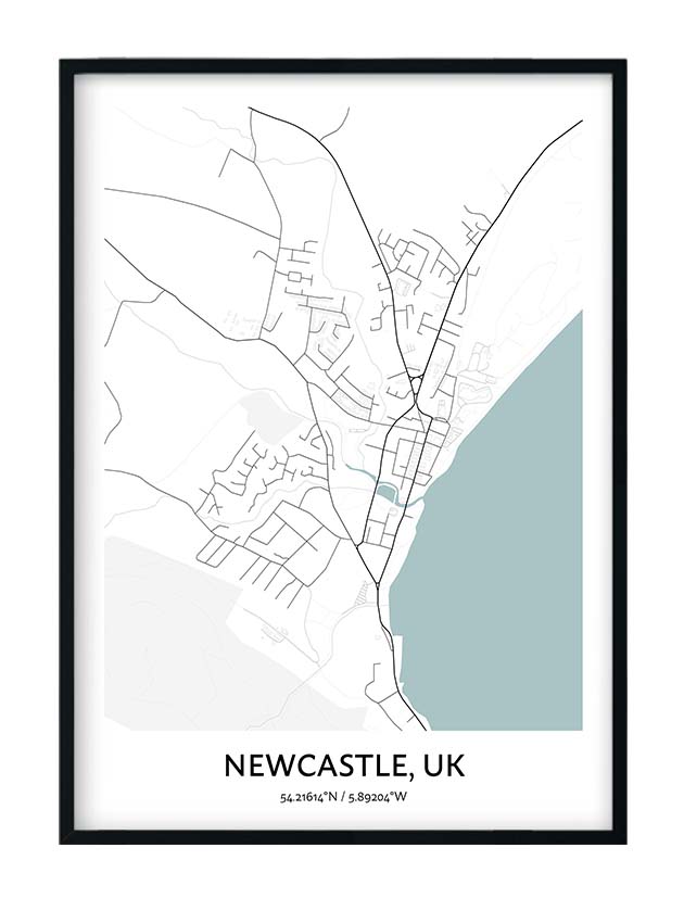 Newcastle Map Poster - Your City Map Art - Positive Prints