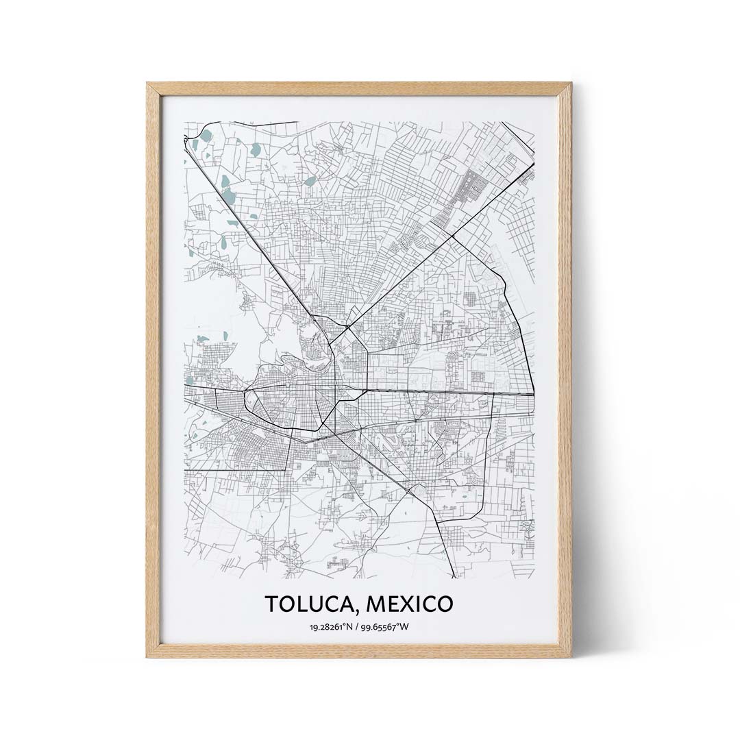 Toluca city map poster