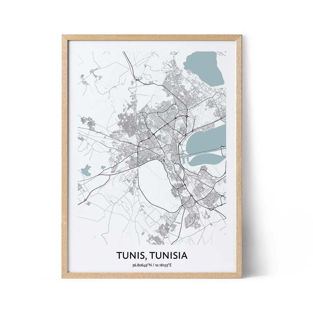 Tunis city map poster